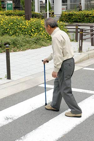 姫路市で選ばれる歯医者トップガイド｜安心・丁寧な治療と家族みんなが通える医院の特徴