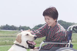 大山で整骨院をお探しならこちらへ
