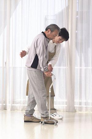 つくば市で選ばれる婦人科クリニックの特徴と安心の診療体制ガイド