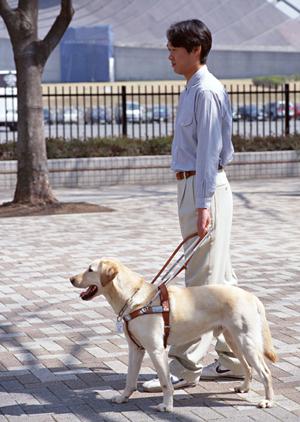 市川市で評判の歯医者を徹底比較！2025年最新ランキングと選び方ガイド