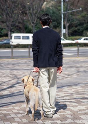 熊本市で評判の歯科医院トップ10｜2025年最新ガイド